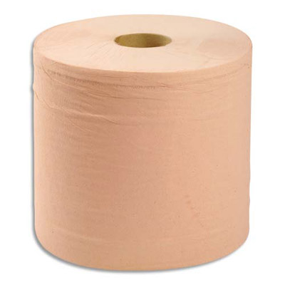 Lot de 2 bobines d essuyage chamois - 1000 formats predecoupes 21 x 30 cm - 2 plis