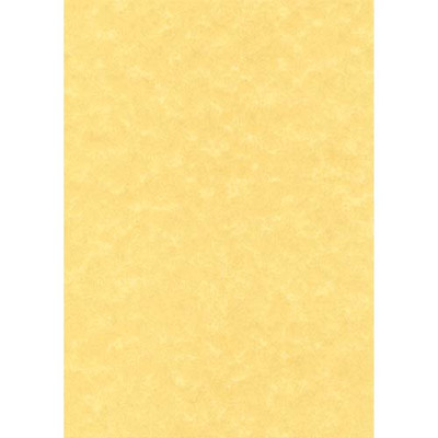 Boite de 100 feuilles Decadry - format 21x29.7 cm 95 g - parchemin or