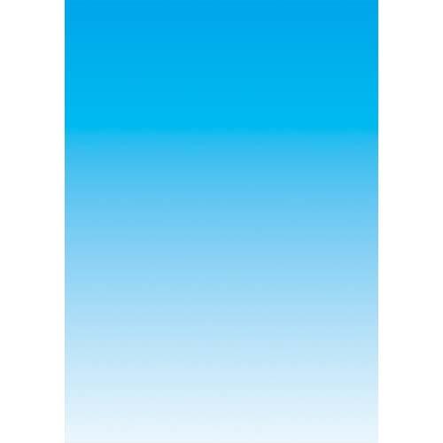 Boite de 250 feuilles Decadry - papier couleur copieur laser jet d encre recto/verso - 80 g - A4 - bleu