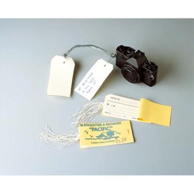 Etiquettes américaines Avery 75410 - format 120 x 60 mm - attache fil de fer - boîte de 1000