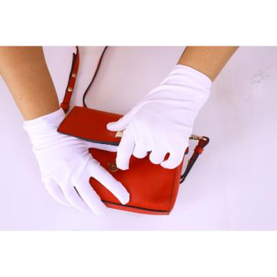 Gants de propreté coton et lycra - Blanc - Taille 7