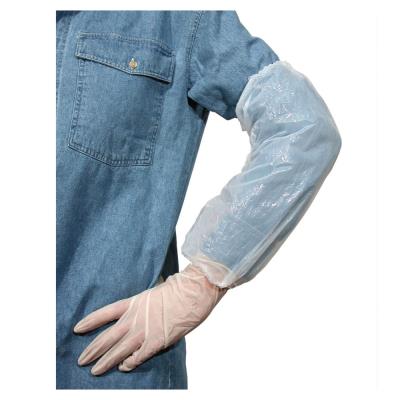 Manchettes alimentaires élastiques - Sachet de 100