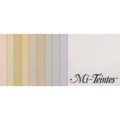 Manipack Canson 10 feuilles MI-TEINTES 50X65 160g couleurs pastel