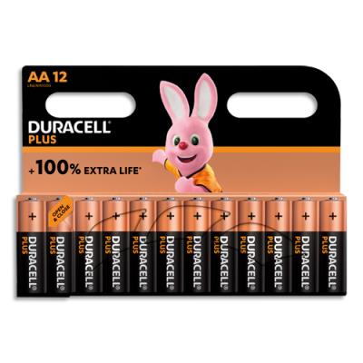 Piles alcalines Duracell AA Plus 100% - 1,5V LR6 MN1500 - lot de 12 piles