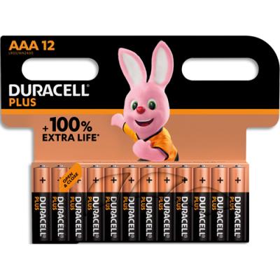 Piles alcalines Duracell AAA Plus 100% - 1.5V LR03 MN2400 - lot de 12 piles