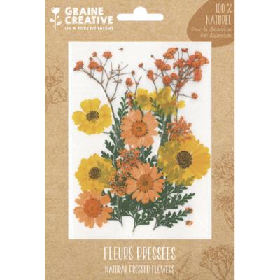Sachet de 18 fleurs séchées Graine Creative Prairie Jaune pour la création de bougies, objets en boi