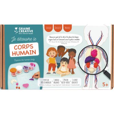Kit de moulage éducatif Graine Creative pour découvrir le fonctionnement du corps et les organes