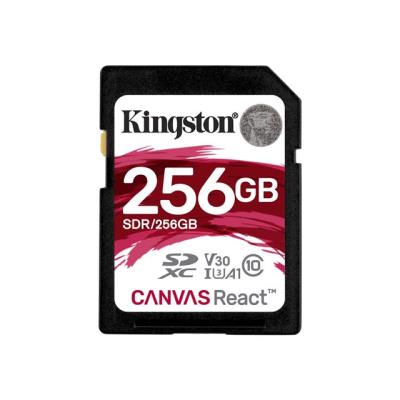 KINGSTON Carte SDXC UHS-I Canvas Go Class 10 - 256 Go