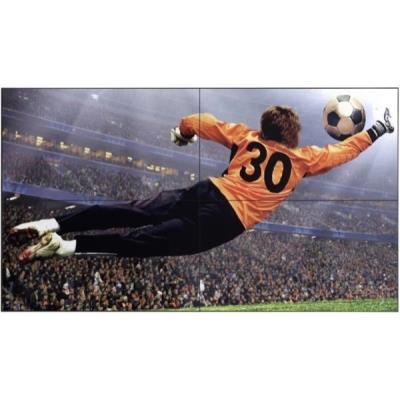 LG - Afficheur professionnel 49 49VL5G