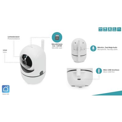 DIGITUS Caméra de surveillance intelligente Full HD (P/T)