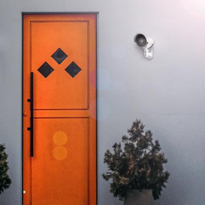 LogiLink Caméra de surveillance factice, argent