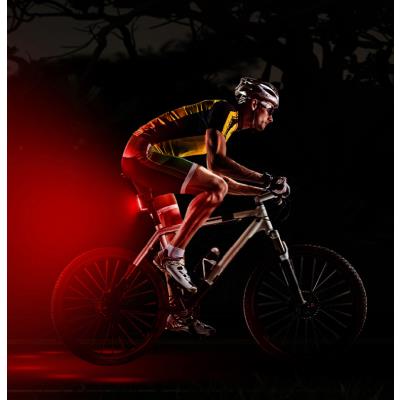 FISCHER Feu arrière LED pour vélo rechargeable PLUS TWIN