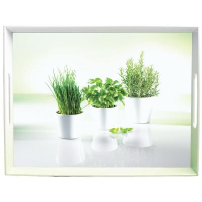 emsa Plateau de service CLASSIC, motif: lavande