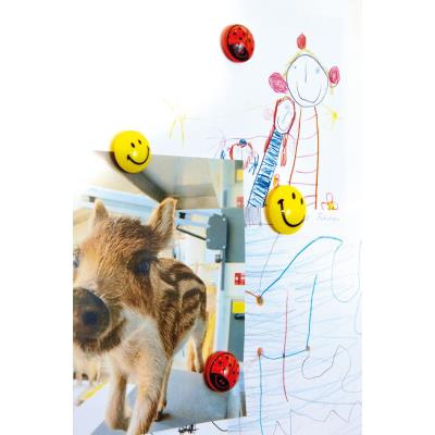 magnetoplan Aimants 'Smiley', diamètre: 40 mm