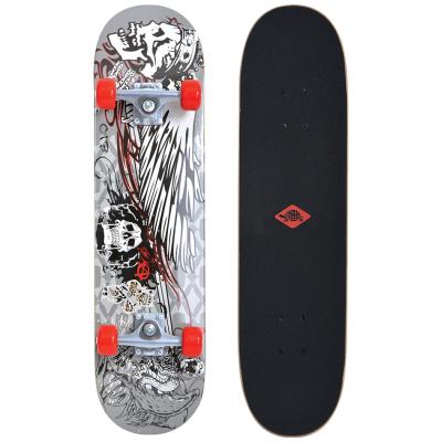SCHILDKRÖT Skateboard 'Kicker 31' Phantom