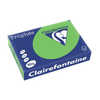 Papier Troph�e - vert menthe 