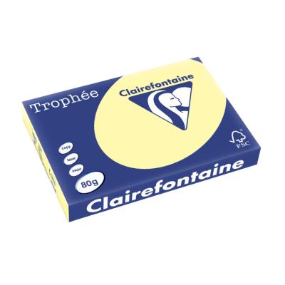 Papier Troph�e - jaune canari 
