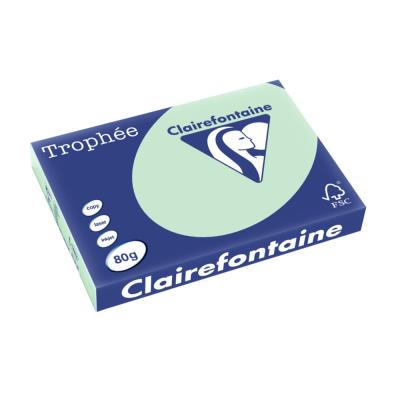 Papier Troph�e - vert - teinte