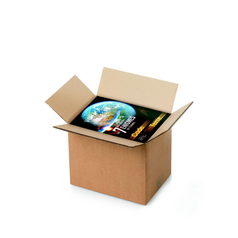 Caisse amricaine RAJA carton double cannelure - L.int. 31 x l.22 x h.25 cm - Kraft brun - Lot de 15