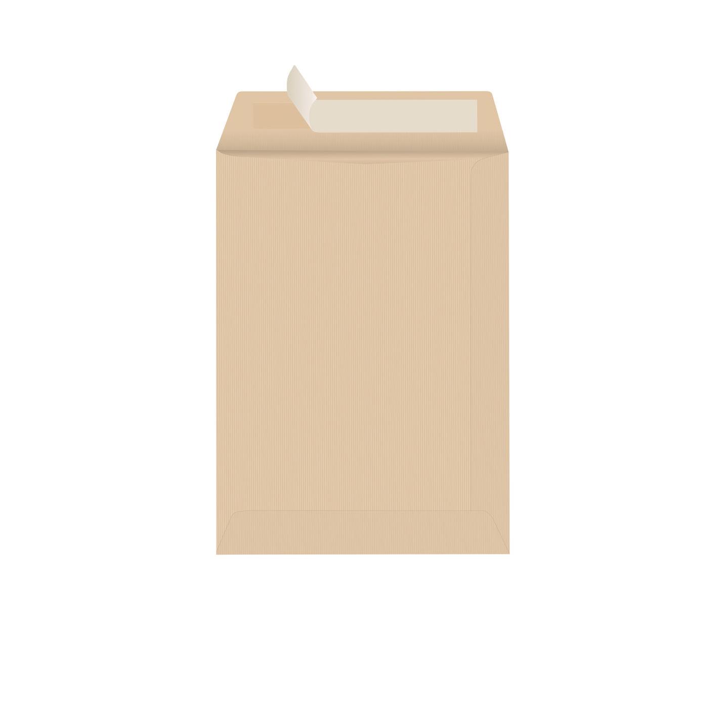 Pochette kraft B5 Raja - 176 x 250 mm - 90 g - sans fentre - bande autoadhsive - bote 500 units