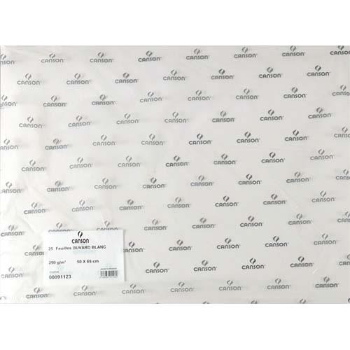 Feuille de papier buvard Canson 91123 - 250g - 50x65cm - blanc
