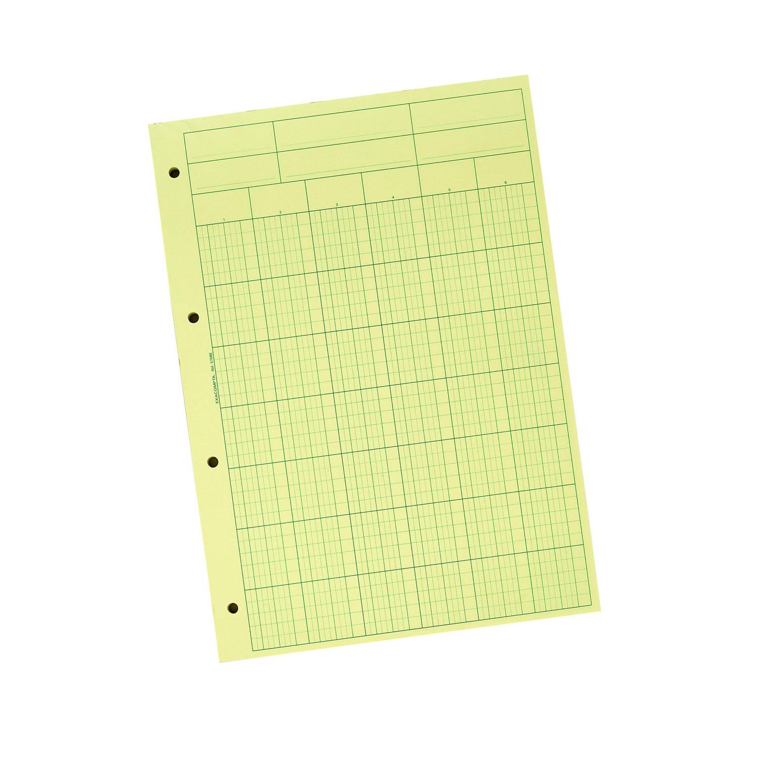 Bloc Audit de Contrle comptable Exacompta - 6 colonnes - 70 feuillets - 21 x 29,7 cm - A4