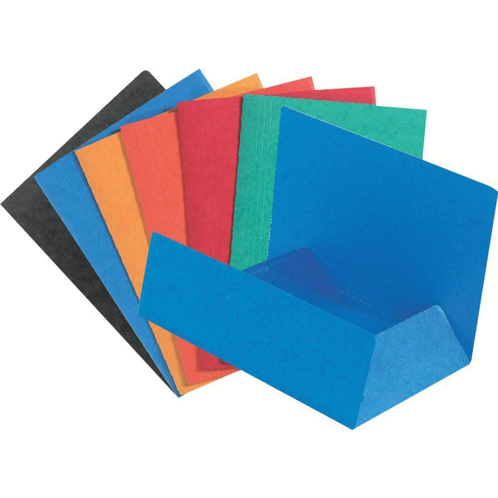 Chemise ExacomptaNatureFutureA4 - 200feuilles - Coloris assortis - Lot de 50