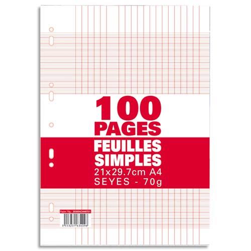 Feuillets mobiles co - 21x29,7 cm - 100 pages - grands carreaux - 70g - Sous tui