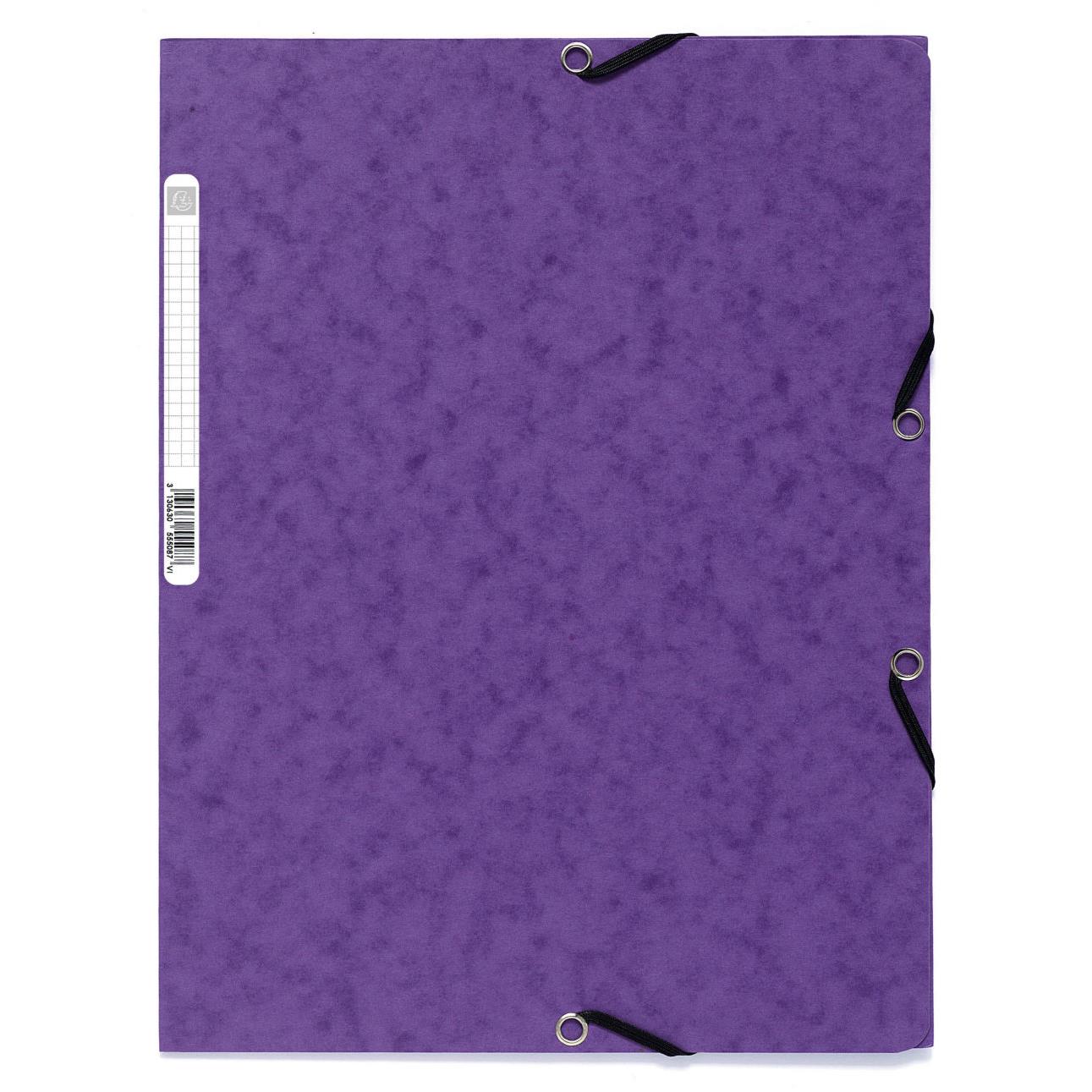 Chemise Exacompta Nature Future 3 rabats  lastique 250 feuilles A4 24 x 32 cm Carton violet