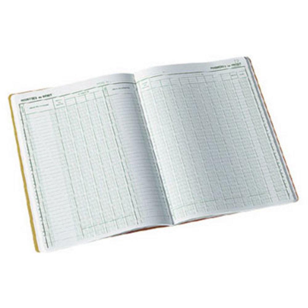 Piqre Exacompta - 32 x 25 cm - journal de caisse ou banque - 9 dbit 4 crdit 33 lignes - 80 pages