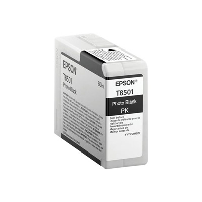 Cartouches pour imprimantes - Epson singlepack photo black t850100
