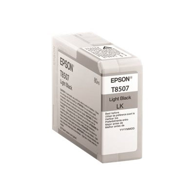 Cartouches pour imprimantes - Epson singlepack light black t850700