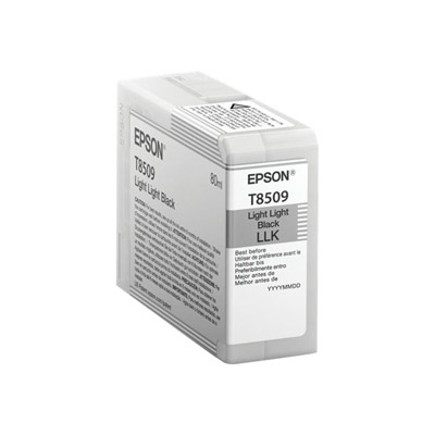 Cartouches pour imprimantes - Epson singlepack light light black t850900