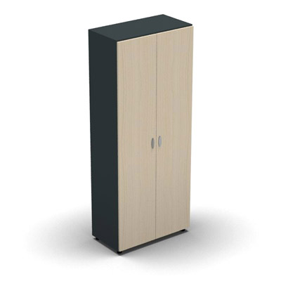 Armoire haute mlamin - 2 portes pleines - 4 tablettes - 80 x 198 cm - portes rable - top et faades anthracite