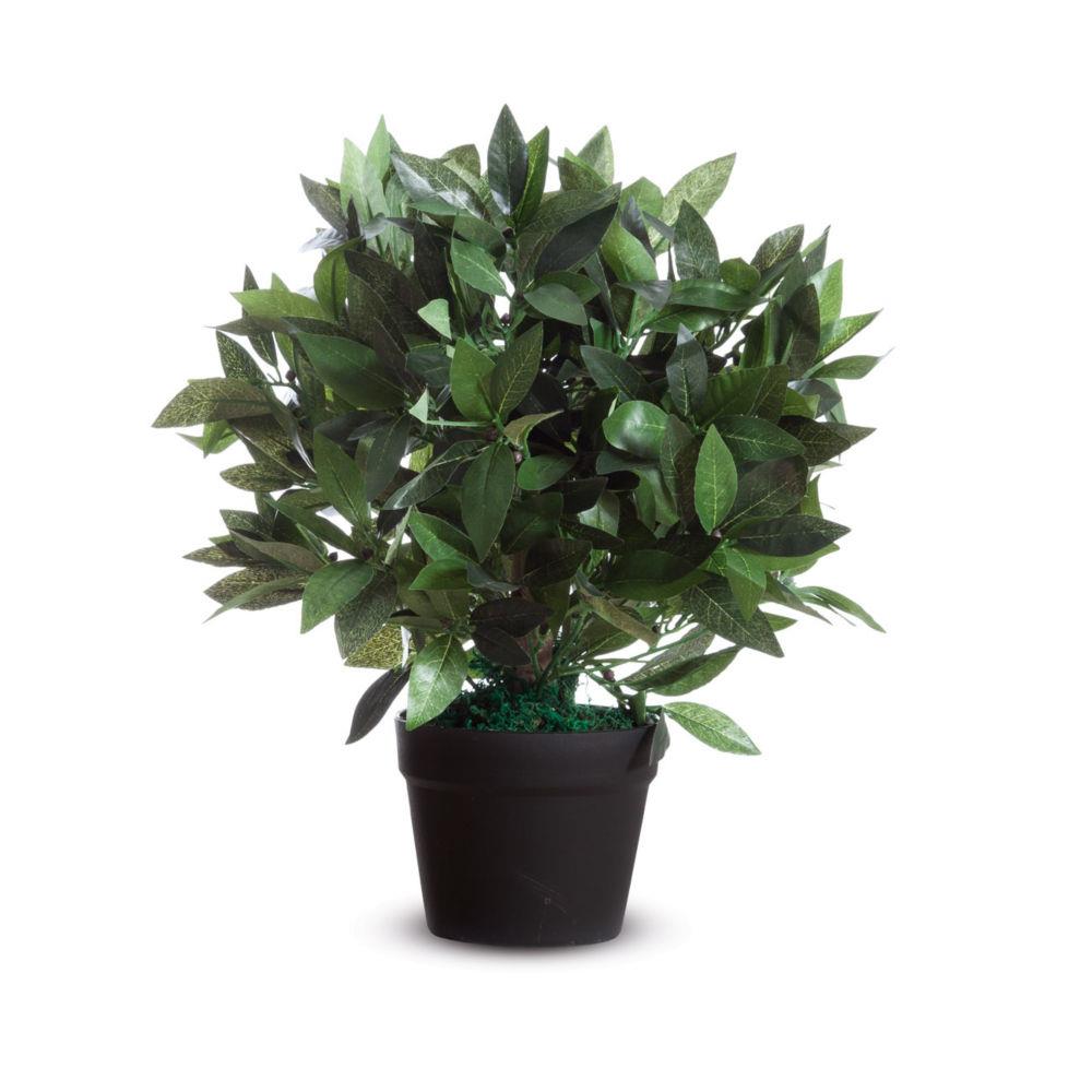 Plante artificielle Paperflow Laurier Ht. 50 cm