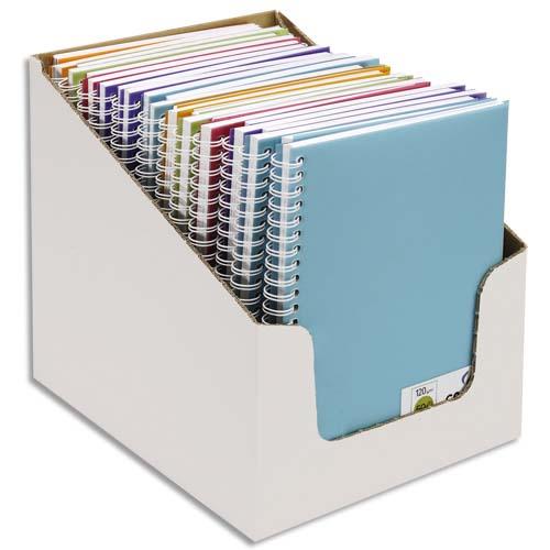 Carnets de notes Canson - couverture en polypro - 14,8 x 21 cm - 100 pages - 120g - coloris assortis