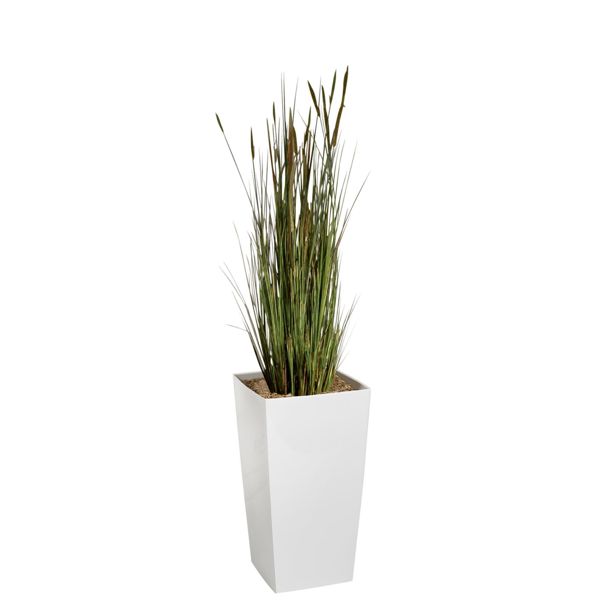 Plante artificielle d'intrieur Zanichellie