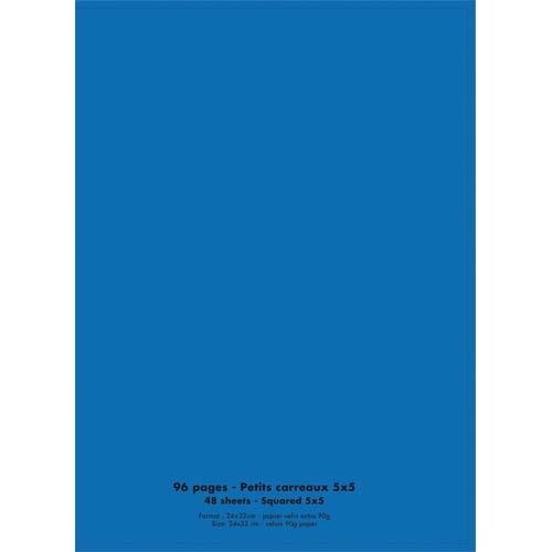 Cahier co - piqu - couverture polypro - 96 pages - 24 x 32 cm - 90g - petits carreaux - bleu