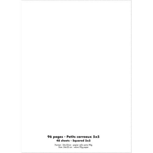 Cahier co - piqu - couverture polypro - 96 pages - 24 x 32 cm - 90g - petits carreaux - incolore