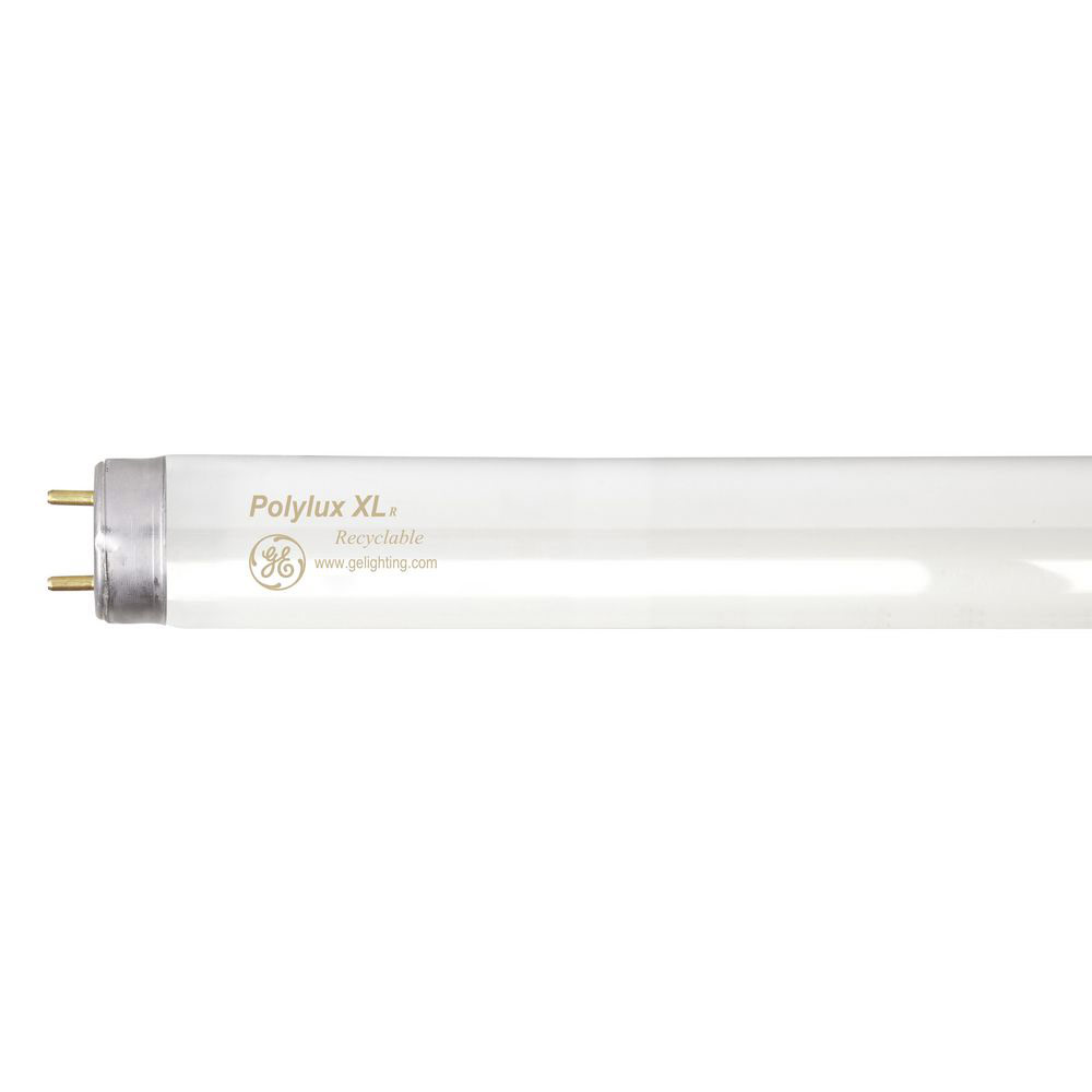 T8 Fluorescent Tube Lumens