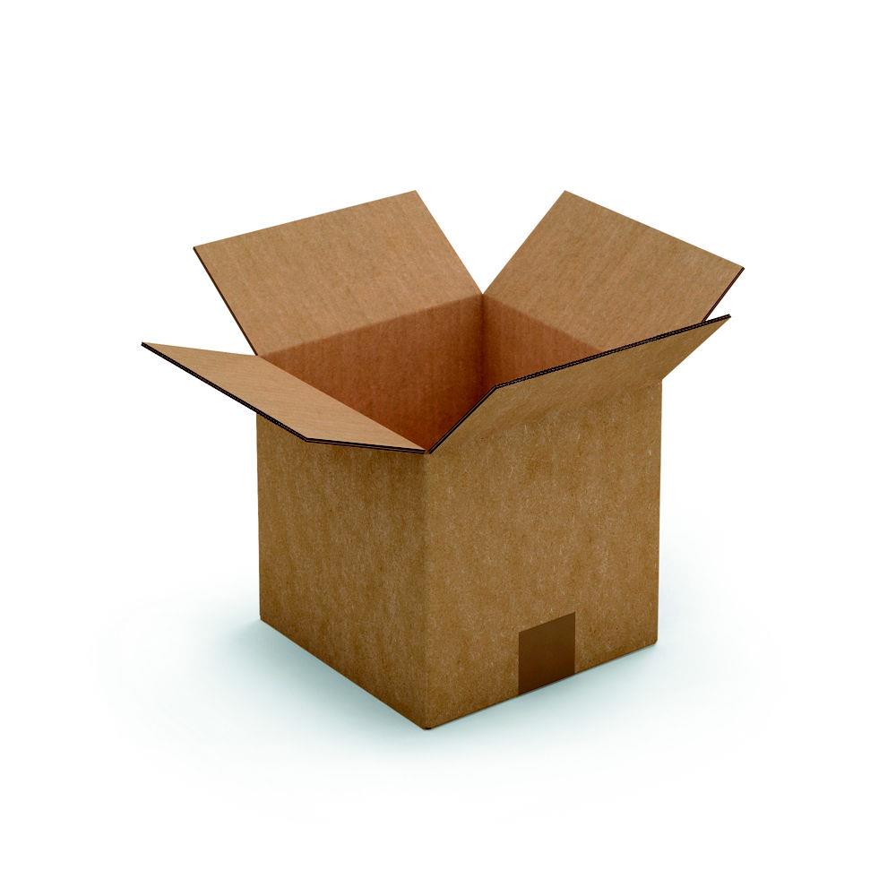 Caisse amricaine RAJA carton double cannelure - L.int. 20 x l.20 x h.20 cm - Kraft brun - Lot de 15