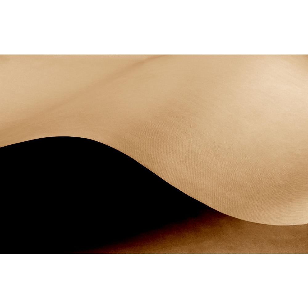 Papier kraft naturel - 70g en rouleau - 50 cm x 100 m - marron