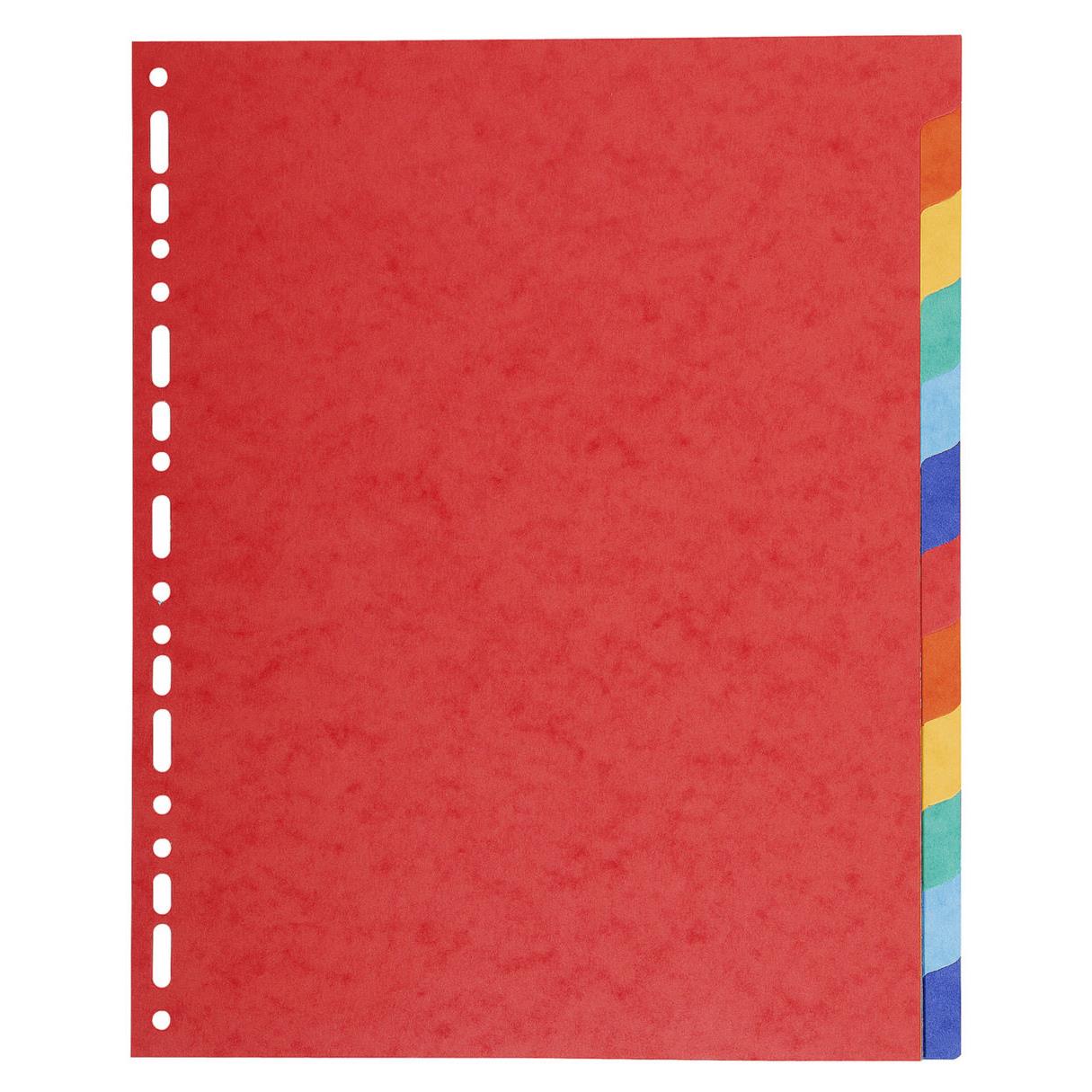 Intercalaires touches neutres Exacompta - carte 225 g - A4+ - 12 positions - coloris assortis