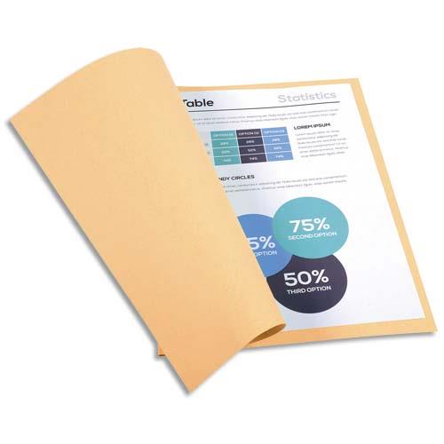 Chemises Exacompta Forever - carte recycle 220g - bulle - 24 x 32 cm - paquet de 100