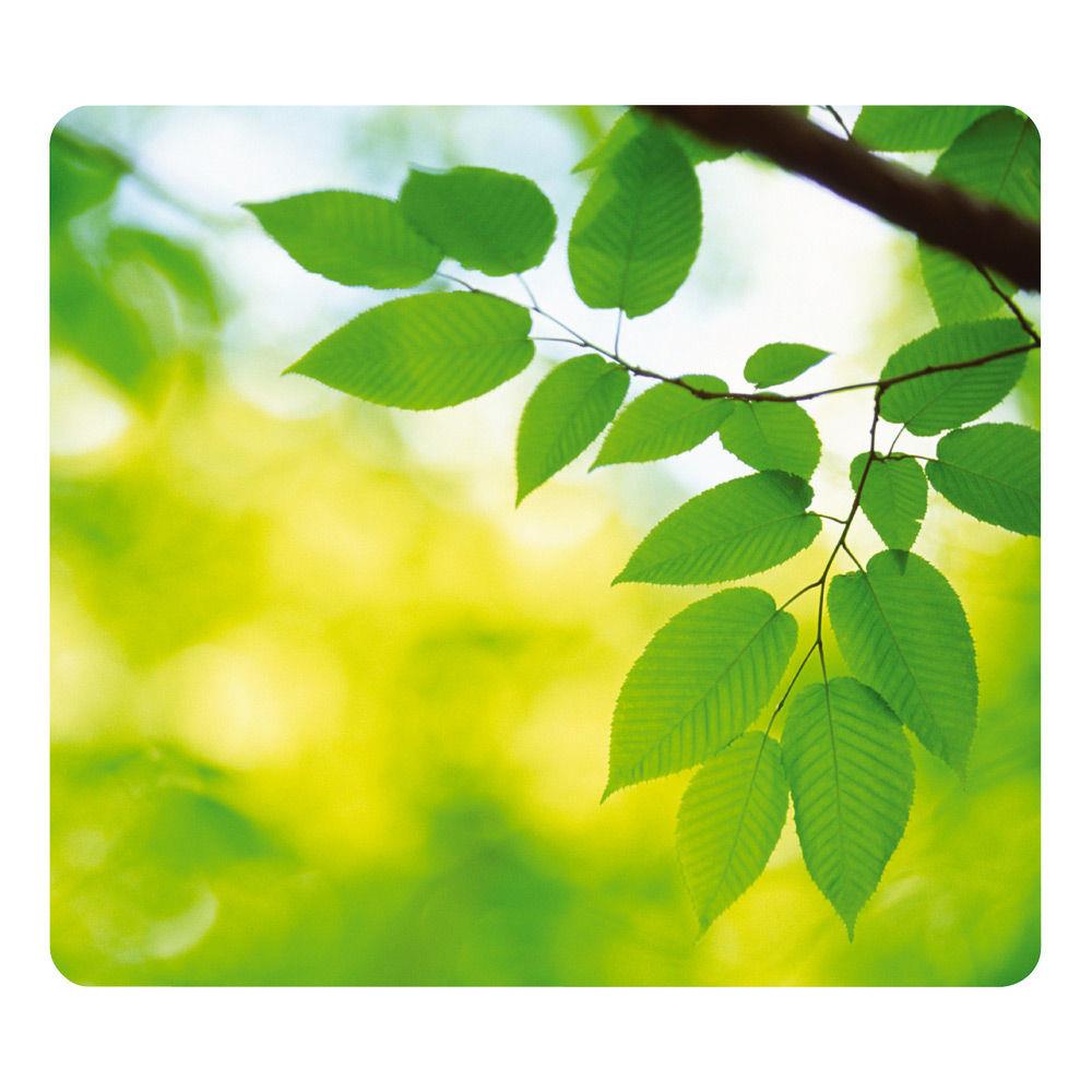 Fellowes tapis earth series feuilles