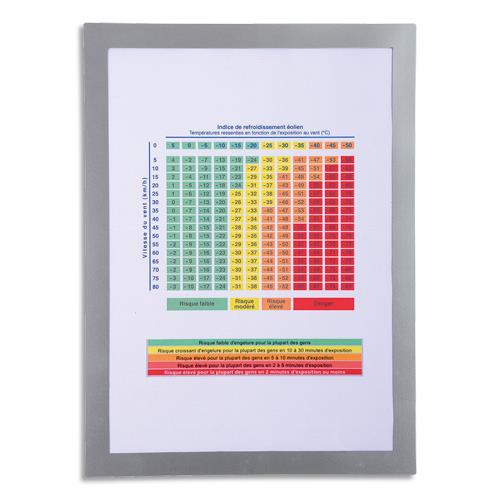 Pochette d'affichage magntique Exacompta - format A4 - coloris cadre argent