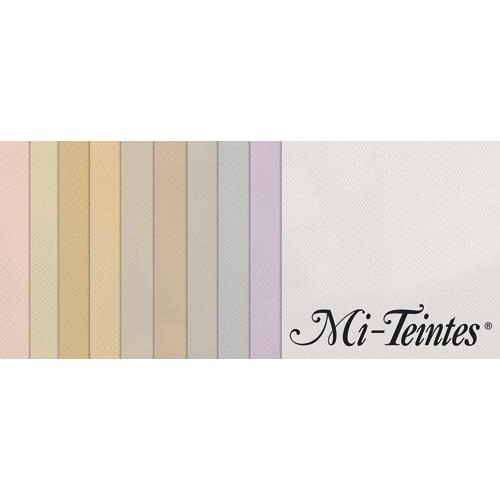 Manipack Canson 10 feuilles MI-TEINTES 50X65 160g couleurs pastel