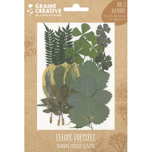 Sachet de 21 feuilles sches Graine Creative Forest pour la cration de bougies, objets en bois, bijoux