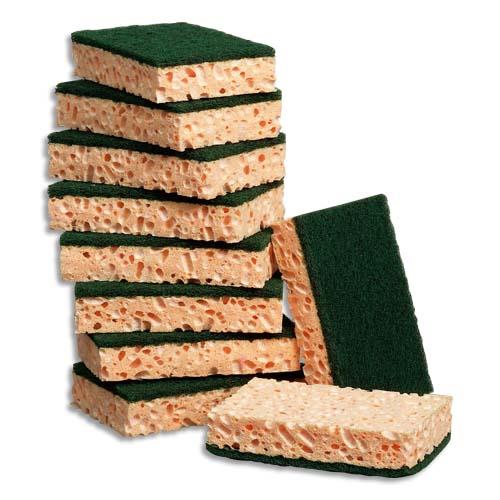 Lot de 10 ponges rectangulaires vertes - Jex