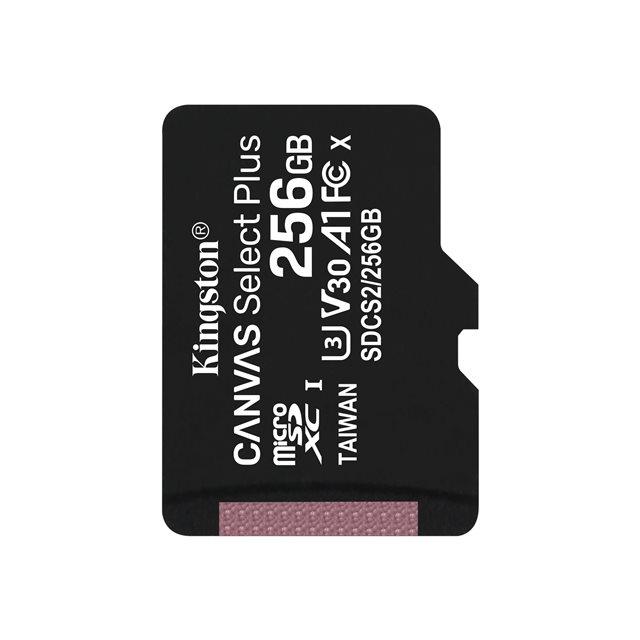 Kingston technology carte micsdxc canvas select plus 100r a1 c10 de 256 go sans adp